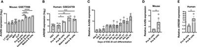 ARID5B regulates fatty acid metabolism and proliferation at the Pre-B cell stage during B cell development